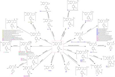 Serial five-membered lactone ring ions in the treatment of Alzheimer’s diseases-comprehensive profiling of arctigenin metabolites and network analysis